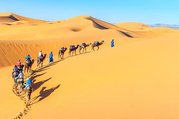 3 Days Private Tour From Marrakesh to Fes via Merzouga Desert 