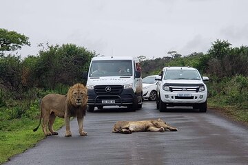 Hluhluwe Imfolozi Park And Isimangaliso Wetlands Park .st Lucia