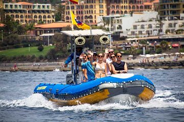 SEA SAFARI, Dolphins, Whales, snorkeling, snack and drink, 2 h speedboat