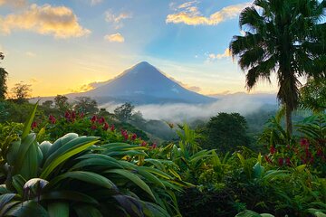 Arenal Volcano 1 Day Tour