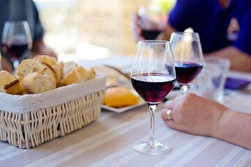 Visit to a local Vineyard