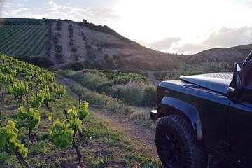 Private Exclusive Manousakis Winery and Vineyard Tour in Chania