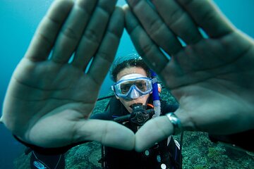 PADI Course and Diving in Levante Beach, Barcelona