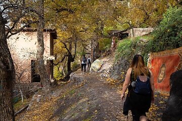 Atlas Mountains, Valley, Waterfalls and Lunch included
