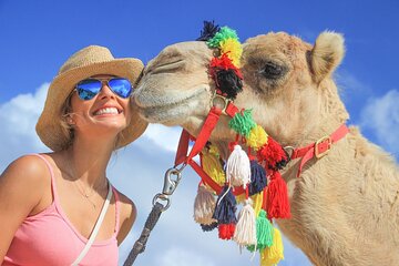 Safari with Camel Caravan to Explore Baja’s Nature, Culture and Cuisine