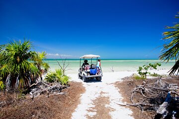 Holbox Tour with Ferry transportation and lunch included