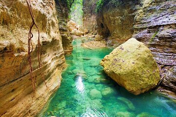 Canyoneering Cebu in Kawasan falls + meals + Cebu transfer option