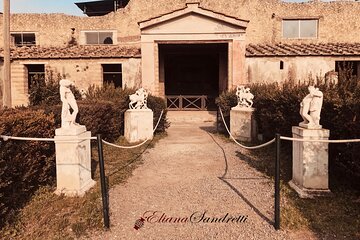 Herculaneum Private Tour with an Archaeologist 