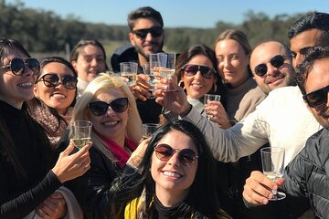 Hunter Valley Wine Tasting + Lunch Guided Day Tour 