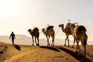Sunset Camel Ride in Agafay Desert