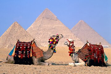 Half Day Tour To Giza Pyramids And Sphinx