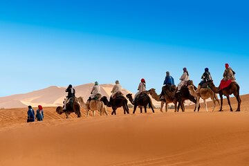 Camel ride in the Merzouga desert from marrakeh