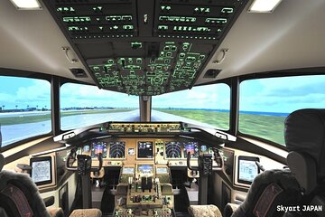 70 minutes of flight simulation experience in a real cockpit! A must-see for airplane lovers