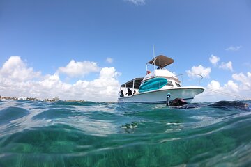 Snorkel in the beautiful reef of Puerto Morelos with transport