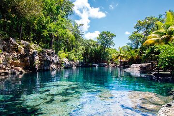 Cenotes Casa Tortuga Tulum 