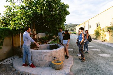 Family Winery Tour and Tasting in Trizinia