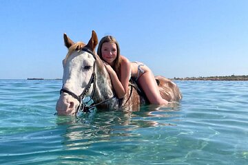 Swimming By Horse in Red Sea, Horse Riding Sea & Desert-Hurghada