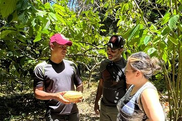 Bribri Magic Chocolate and Waterfall Experience