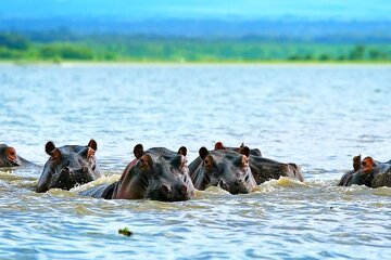 Full day private tour to Hells Gate National park from Nairobi.