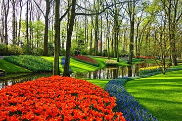 Keukenhof Gardens tour incl. picking your own bouquet of tulips from Amsterdam