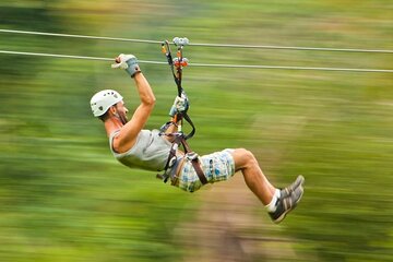 Thrilling Zipline Adventure at Bocawina Rainforest