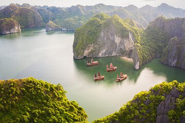 Lan Ha bay deluxe cruise 2D/1N: kayaking & swimming at pristine places & meals