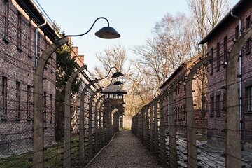 Auschwitz-Birkenau Memorial Entrance Ticket and Guided Tour