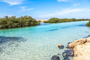 Ras Mohammed & White Island Snorkeling Tour by boat from Sharm El Sheikh