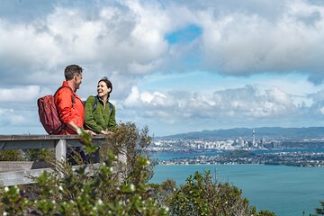 Discover Auckland City - Highlights Tour