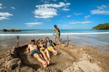 Private Trip to Coromandel