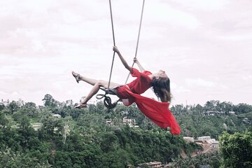 Jungle Swing - Volcano - Water Temple - Monkey Forest and Waterfall Tour