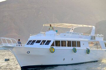 Daily Boat Trips at Sharm EL Sheikh 