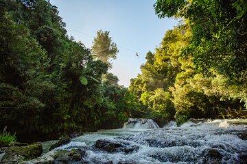 Okere Falls Zipline Experience