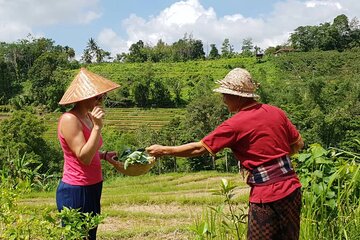 Kubu Terrace Jatiluwih Cooking Class 