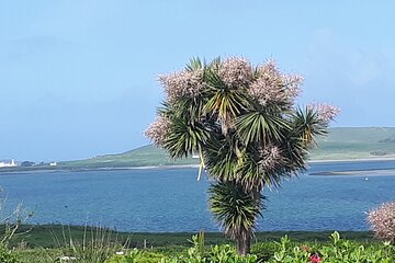 Ring of Kerry Private Tour