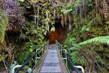 Volcanoes National Park Guided Hike- Small Group Hike