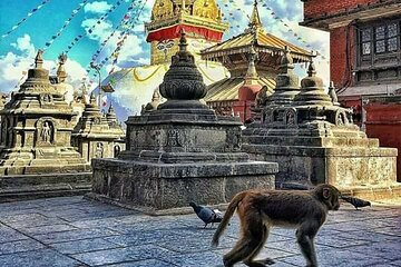 Sightseeing: Kathmandu City Day Tour (4 UNESCO heritages)