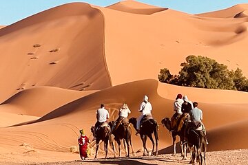 Overnight stay in desert camp & Camel trekking in the Sahara