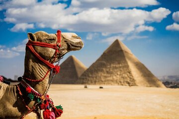 Two Days Tours from El Gouna to Cairo by Road