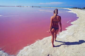 Pink Lake and Flamingo Sightseeing in Rio Lagartos