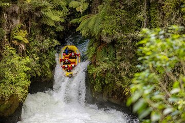 Kaituna White-Water Rafting Adventure