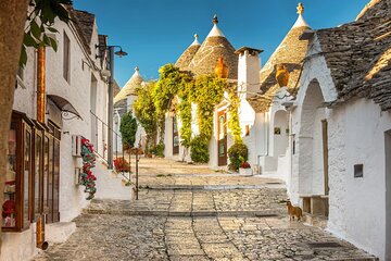 Alberobello private walking tour with wine tasting