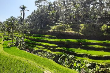 Heaven Gate, Tirtagangga and Tukad Cepung Waterfall - All Inclusive 