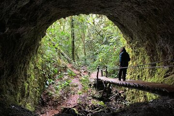 Santa Rita Waterfall and Salento Hike Tour