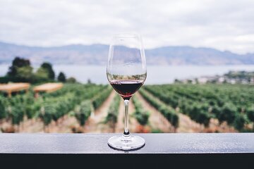 Private Nafplio Tour and Wine Tasting from Athens with Pick Up and Drop Off