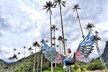 Cocora Valley and Salento Hike Tour