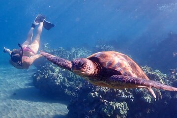 Guided Turtle Town Snorkeling Tour with Underwater Photos