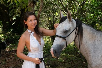 Spirit of the Horse Unique Experiences with Horses