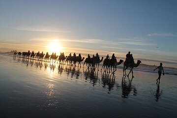 Essaouira: 2H/ Quad + 2H/ Camel (minimum 2 people)