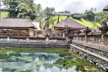 Bali Tour - Sightseeing Tour - Traditional village - Waterfall